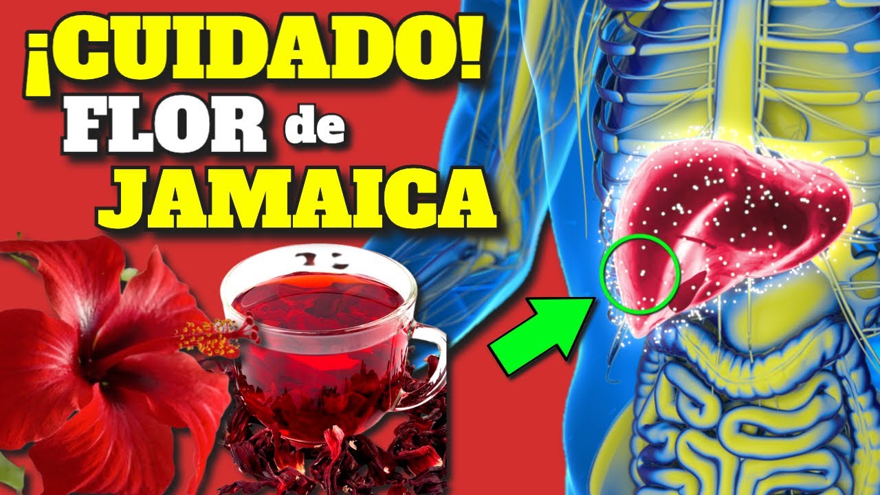 para qué sirve la infusión de hibisco